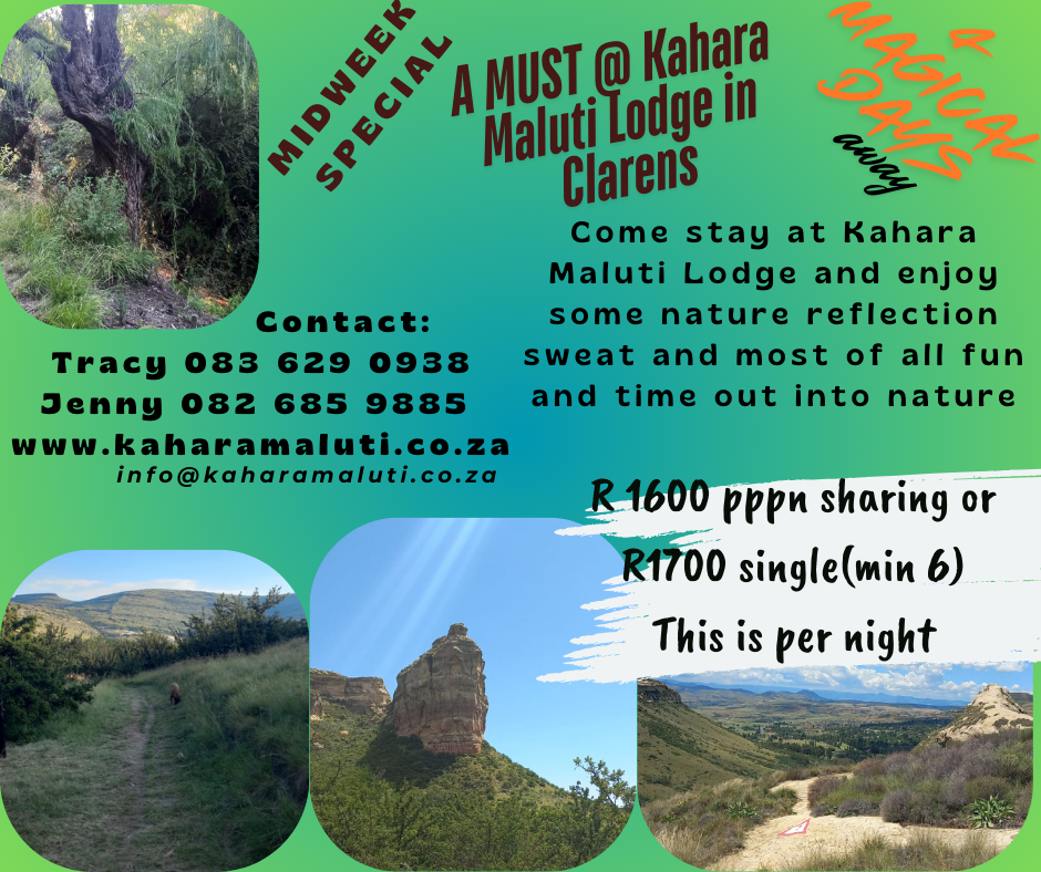 4 day Midweek special